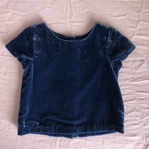 Navy Blue Velvet top